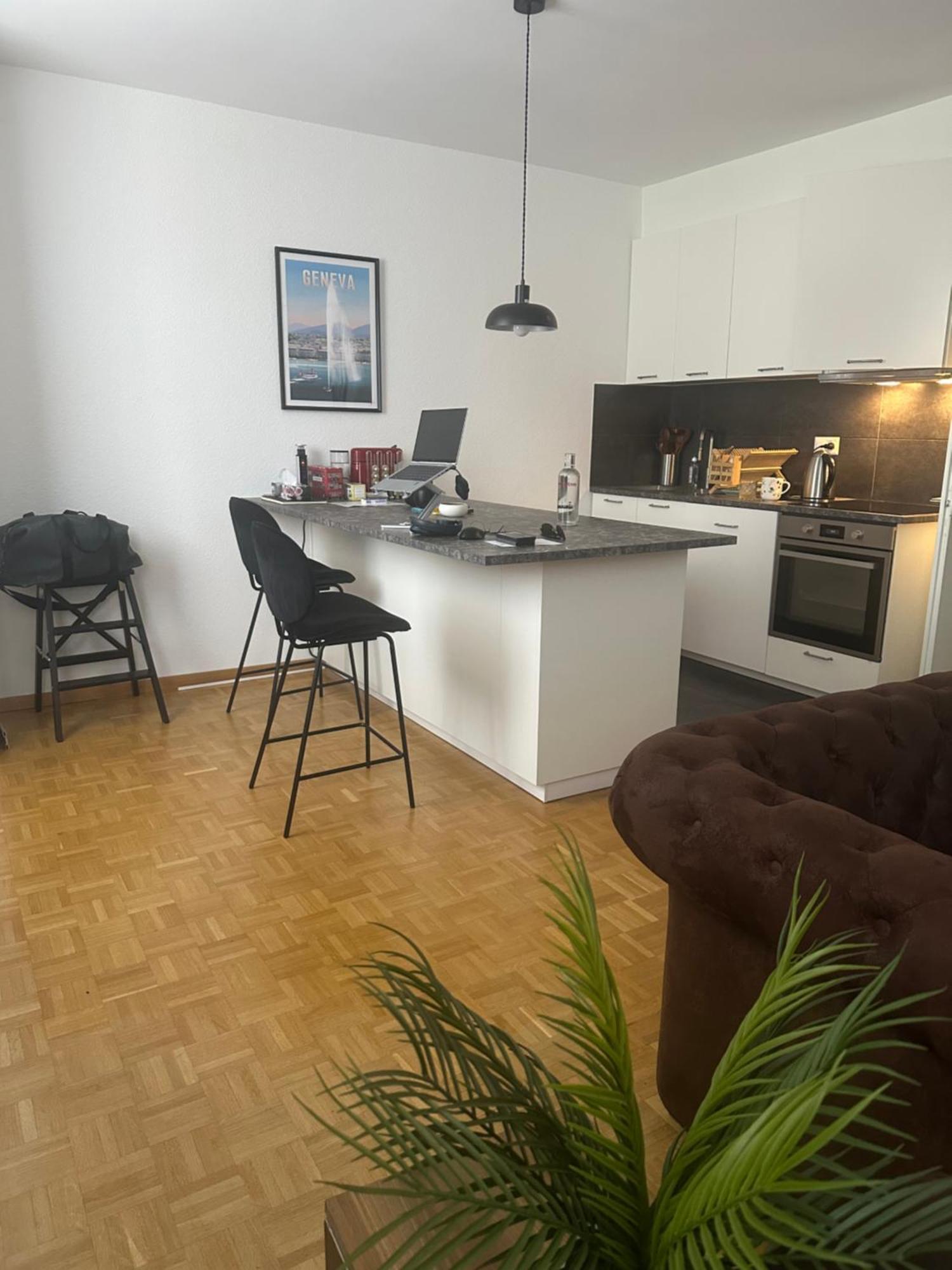 Magnificent Apartment, Center, Appartamento Ginevra